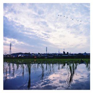 儿科检查隐私网站
